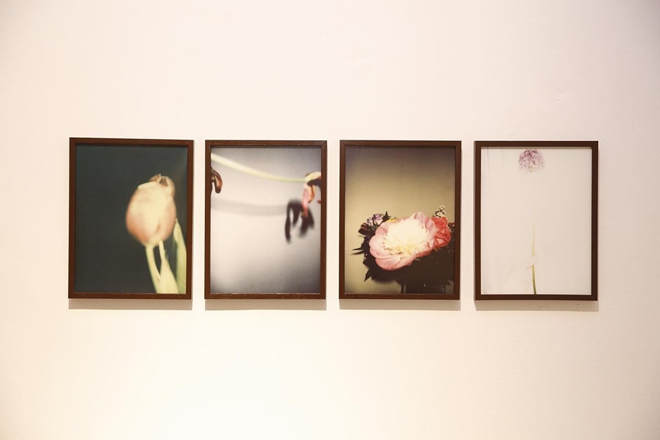 BELONGING — image 2