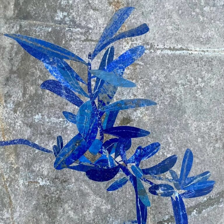 “Plant Studies 1” is a branch from an olive tree that I bought in 2019 from the site of Basilica of Saint Francis of…