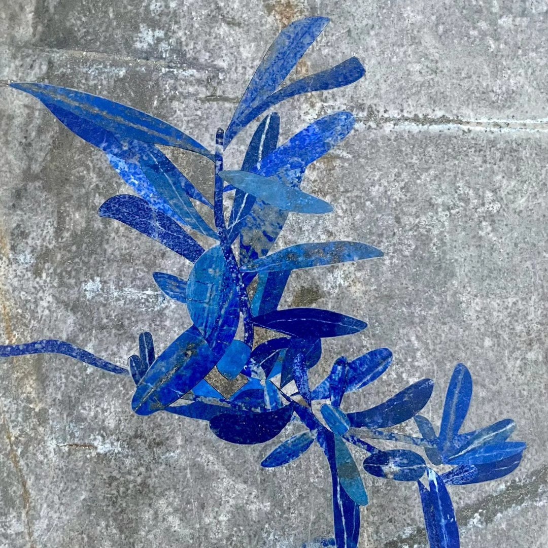 “Plant Studies 1” is a branch from an olive tree that I bought in 2019 from the site of Basilica of Saint Francis of... — image 1