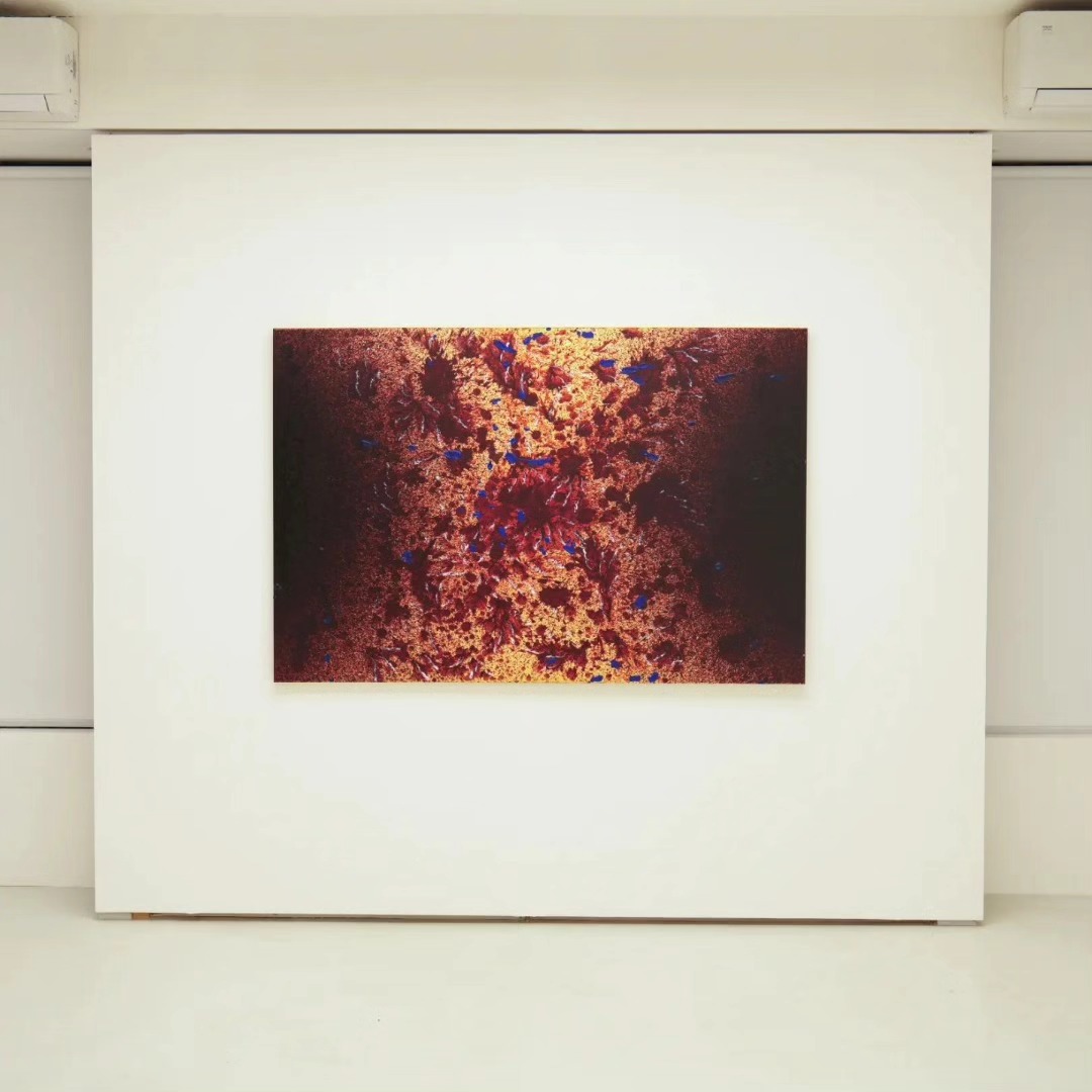 Currently on view: 'Every milestone a destination' at White wall gallery — image 2