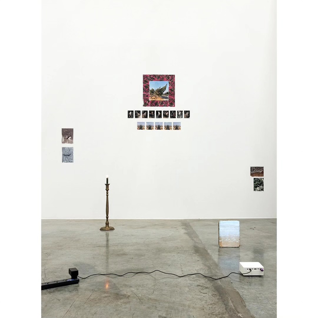 Installation Views — image 4. Photography by Daniella Baptista