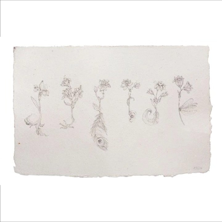 Esoteric Germinations, 2024 — image 1