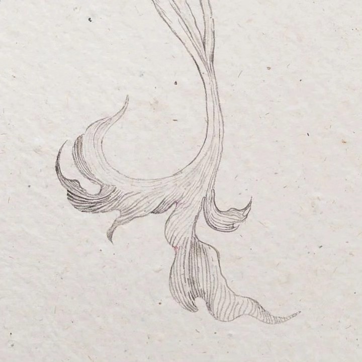 Esoteric Germinations, 2024 — image 10