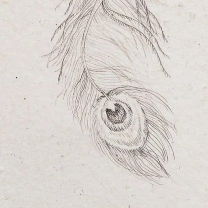 Esoteric Germinations, 2024 — image 2