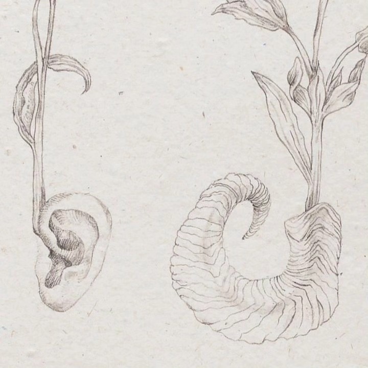 Esoteric Germinations, 2024 — image 3