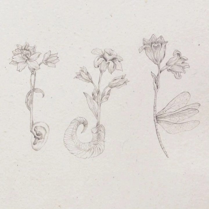 Esoteric Germinations, 2024 — image 4