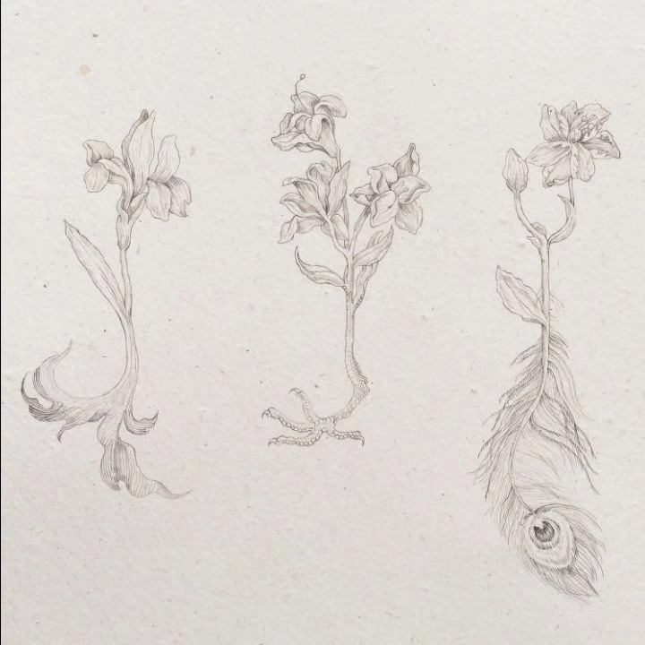Esoteric Germinations, 2024 — image 5