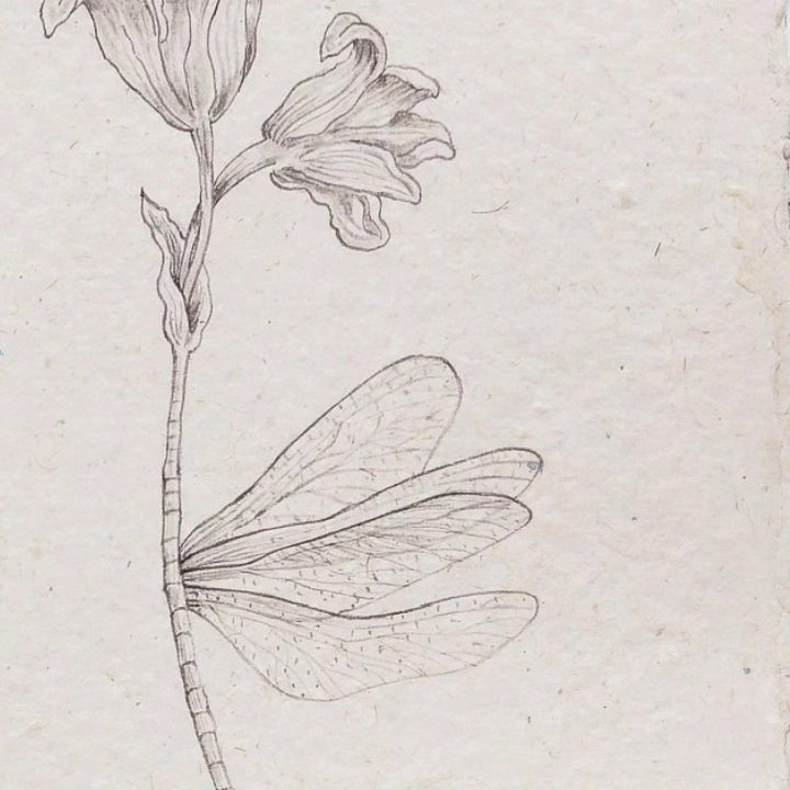 Esoteric Germinations, 2024 — image 6