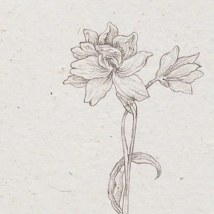 Esoteric Germinations, 2024 — image 8
