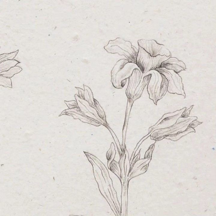 Esoteric Germinations, 2024 — image 9