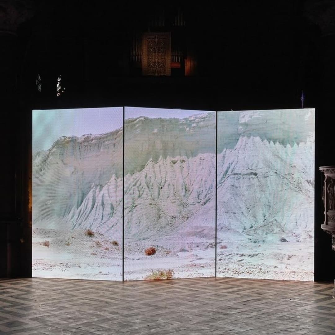 Brown Bodies in an Open Landscape are Often Migrating – 2024 — image 2