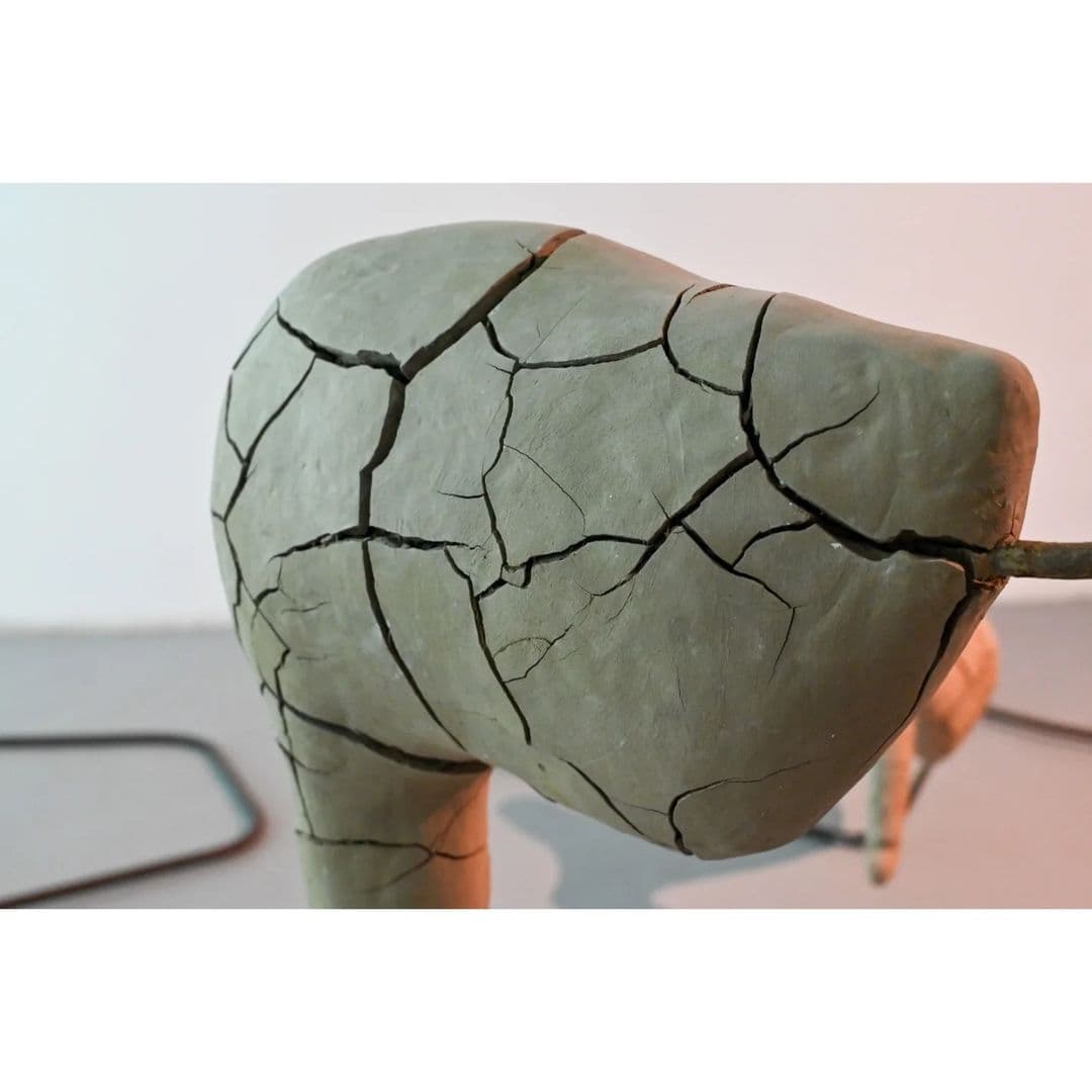 Clay forms commemorating beings that found extinction and a panopticon that failed to host wildlife, now embodies a new... — image 3