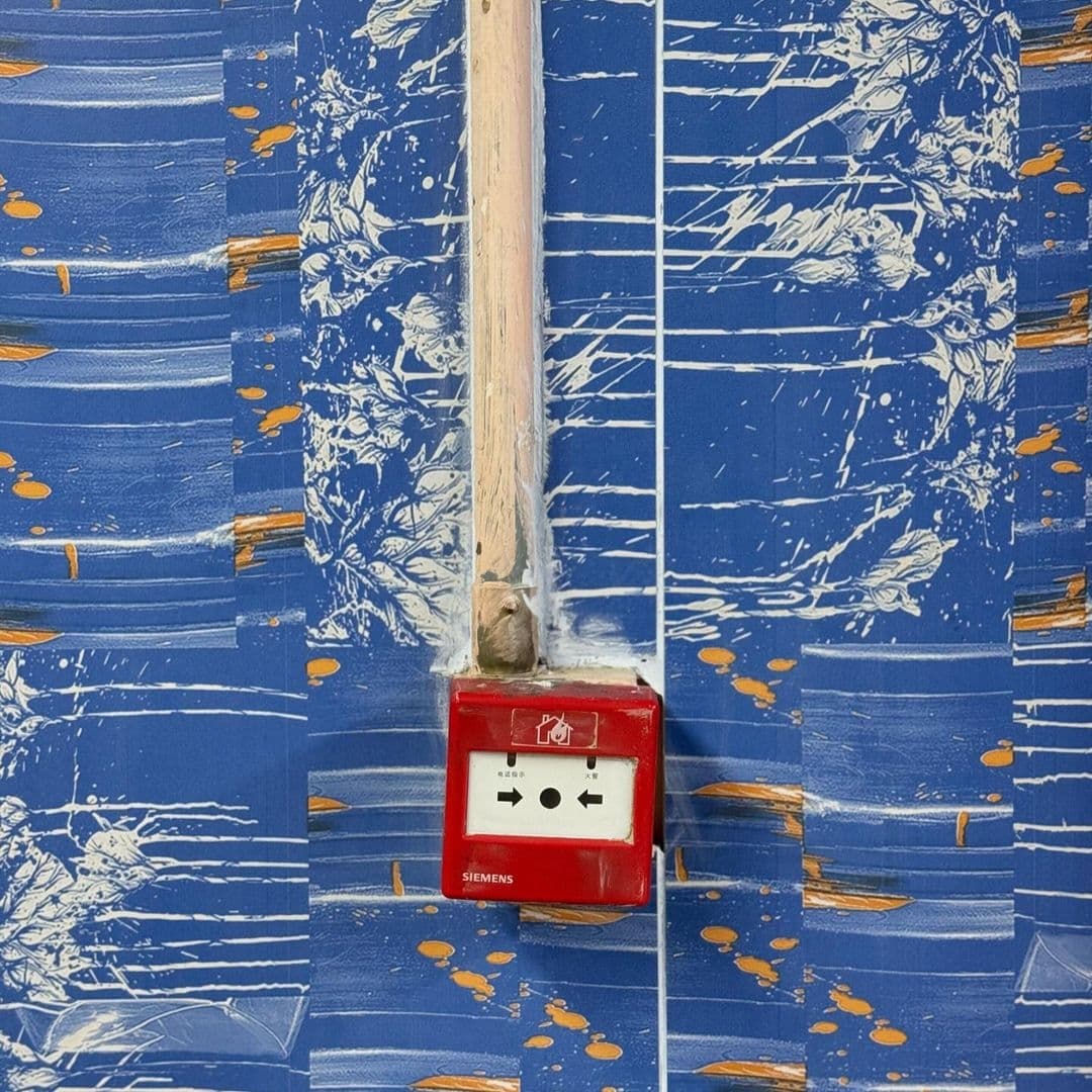 The Process — image 15