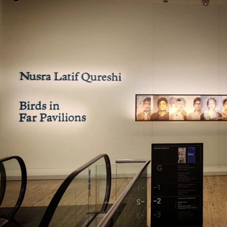 Birds in Far Pavilions