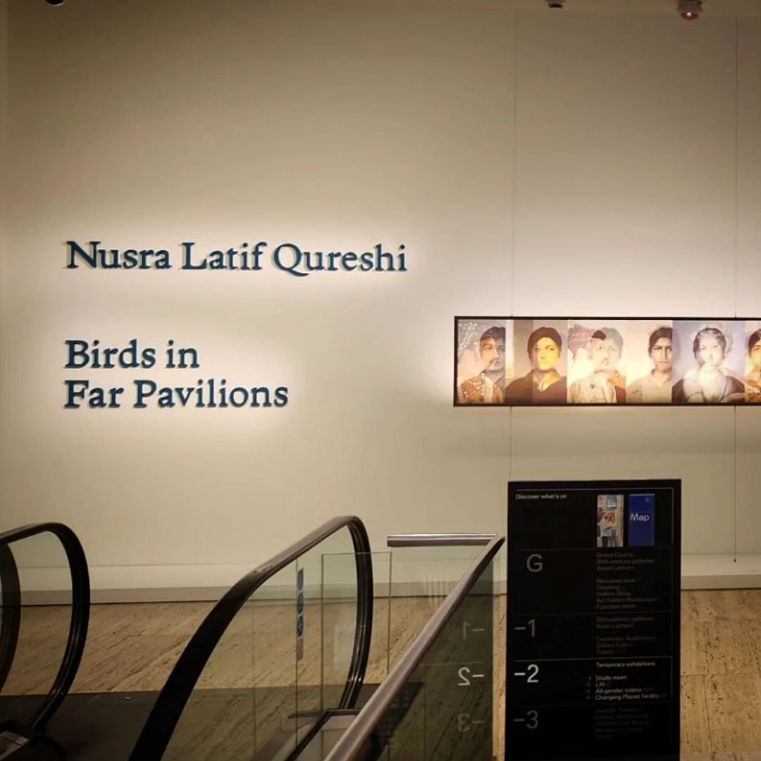Birds in Far Pavilions