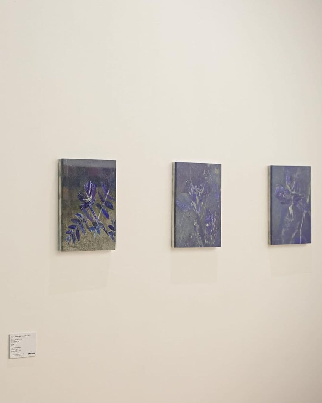 Don’t miss Lawrie Shabibi booth DO4 at Art021 Shanghai 2024 from November 7-10 at the Shanghai Exhibition Center •... — image 4