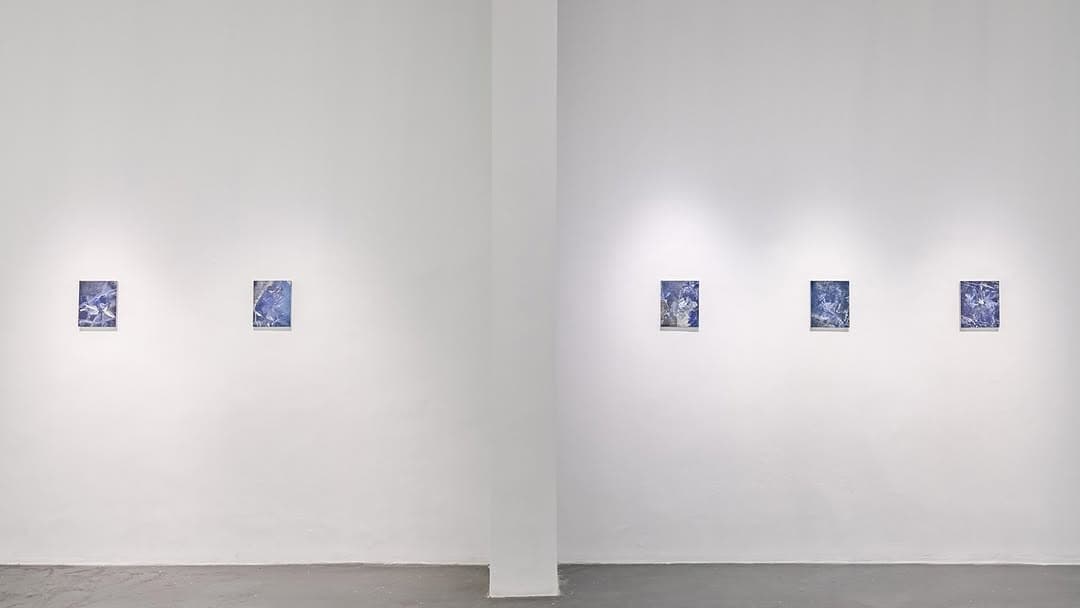 🎨 Hamra Abbas’ın yeni eserlerinden oluşan “Garden Reimagined” sergisi, 1 Şubat 2025’e kadar Pilot Galeri’de! — image 4. 📸 @sahirugureren