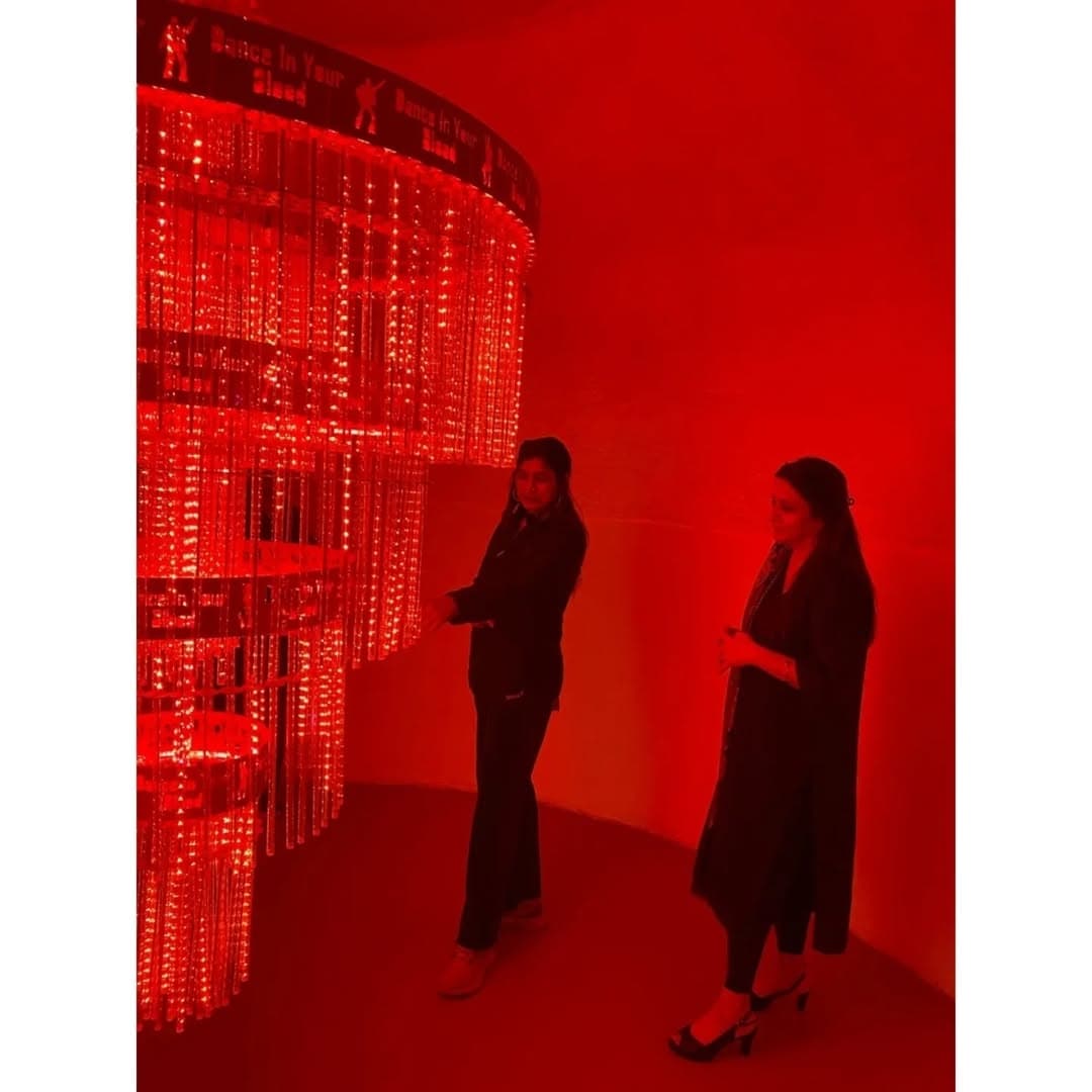 Some glimpses from Adeela Suleman's exhibition "RETRIBUTION" — image 5