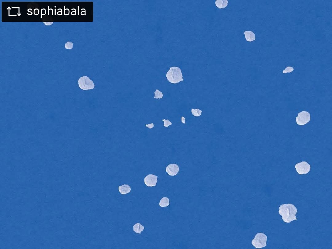 @sophiabala — image 4