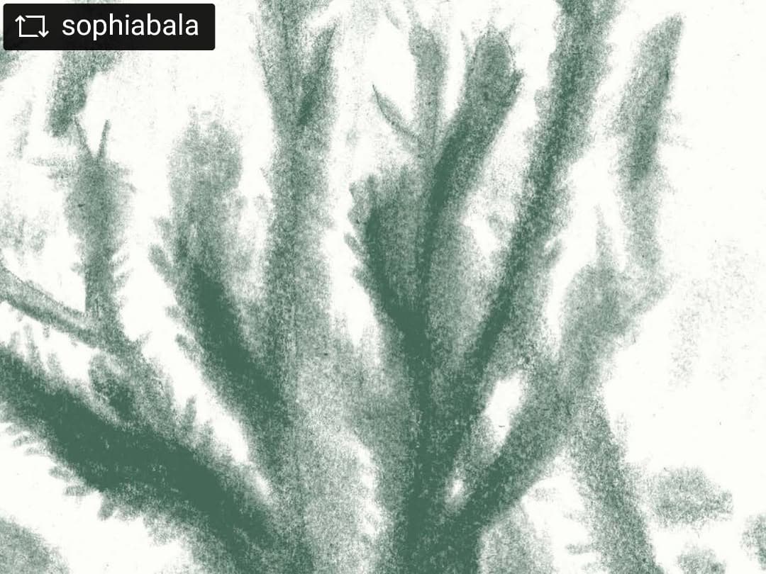 @sophiabala — image 5