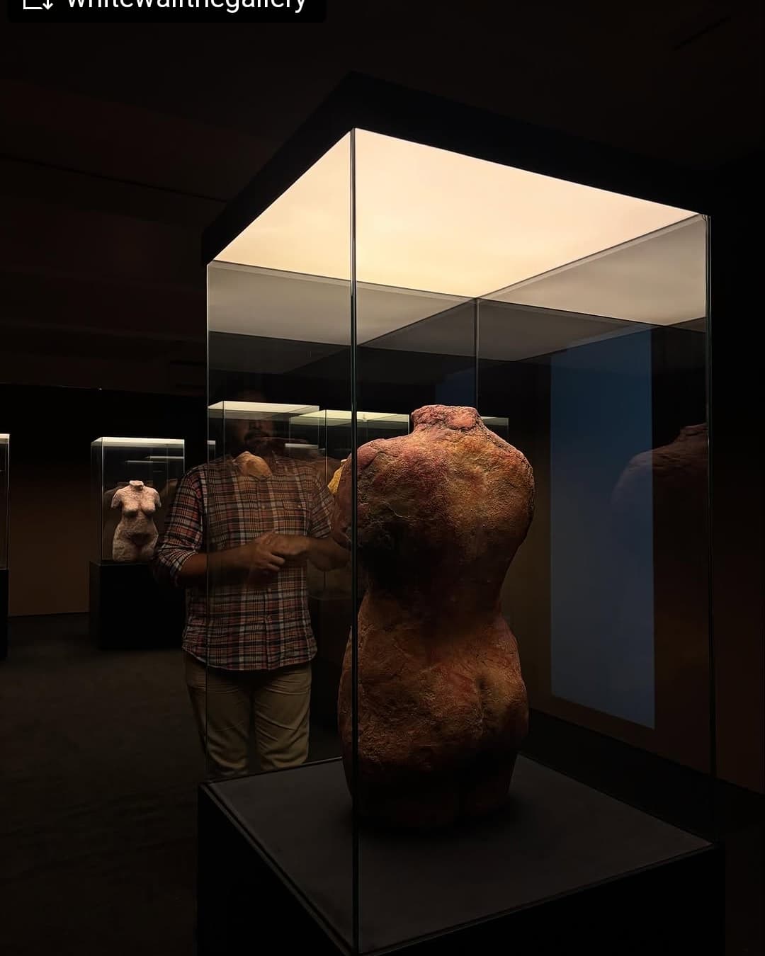 @whitewallthegallery — image 6
