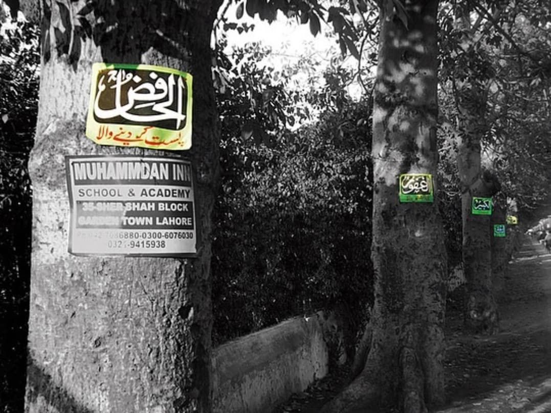 God Grows on Trees @sharjahart — image 1