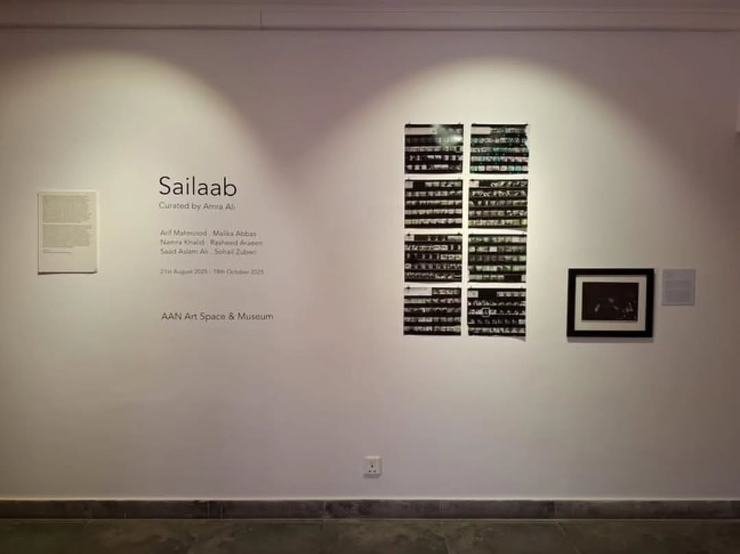 Installation Shots - Sailaab at AAN Art Space & Museum! — image 10