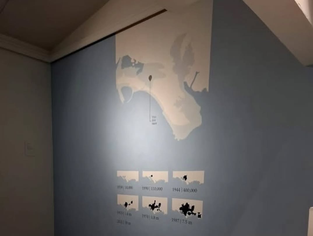 Installation Shots - Sailaab at AAN Art Space & Museum! — image 2