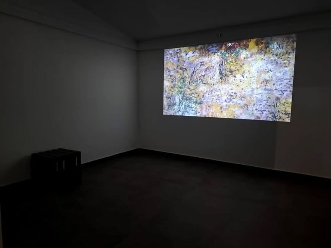 Installation Shots - Sailaab at AAN Art Space & Museum! — image 4