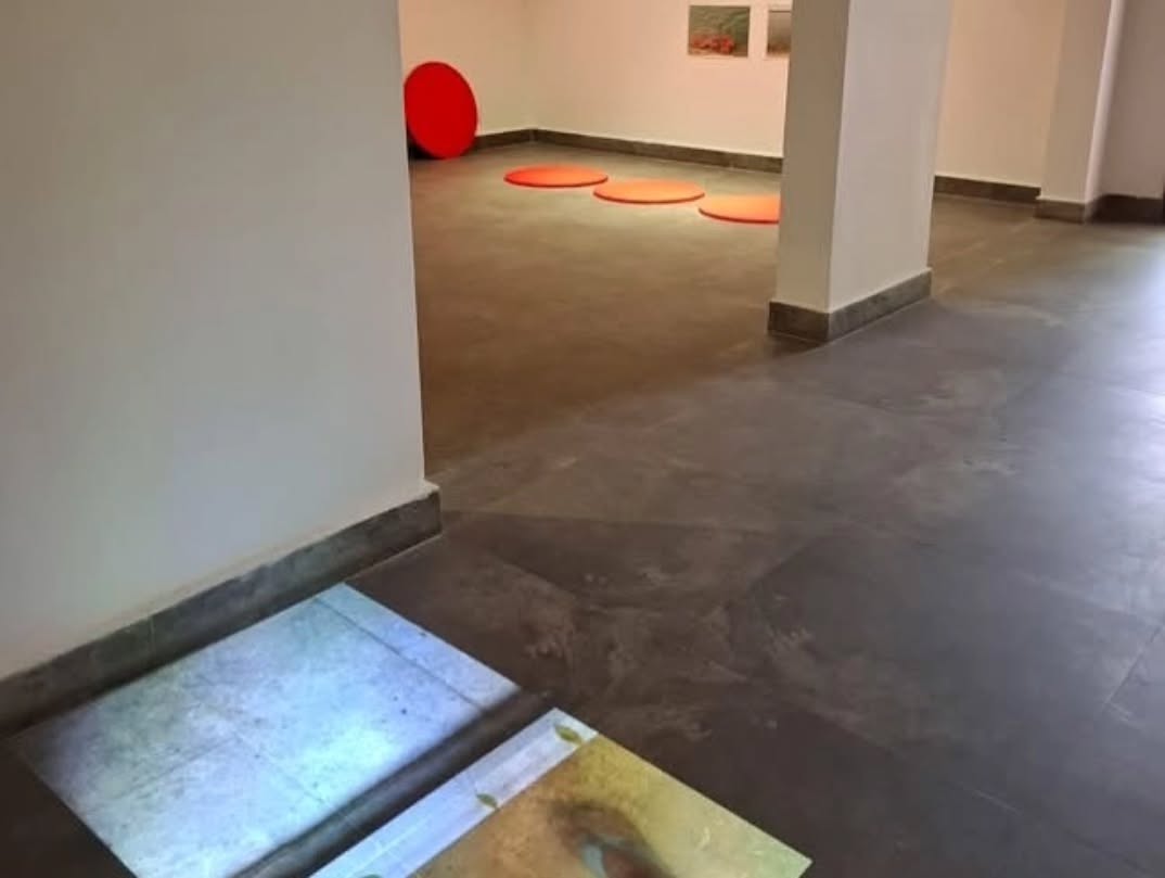 Installation Shots - Sailaab at AAN Art Space & Museum! — image 7