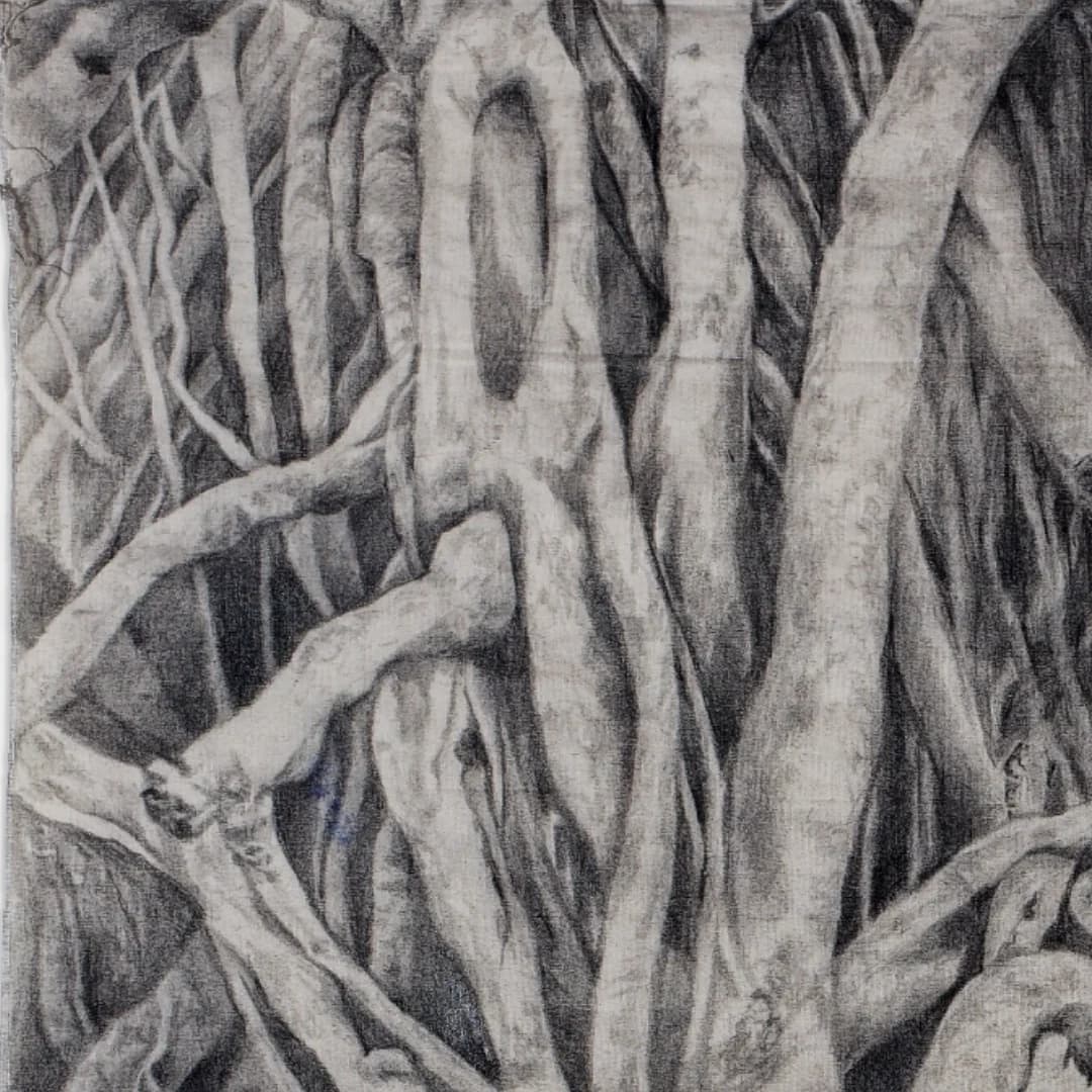Rooting (II), 2024 — image 2