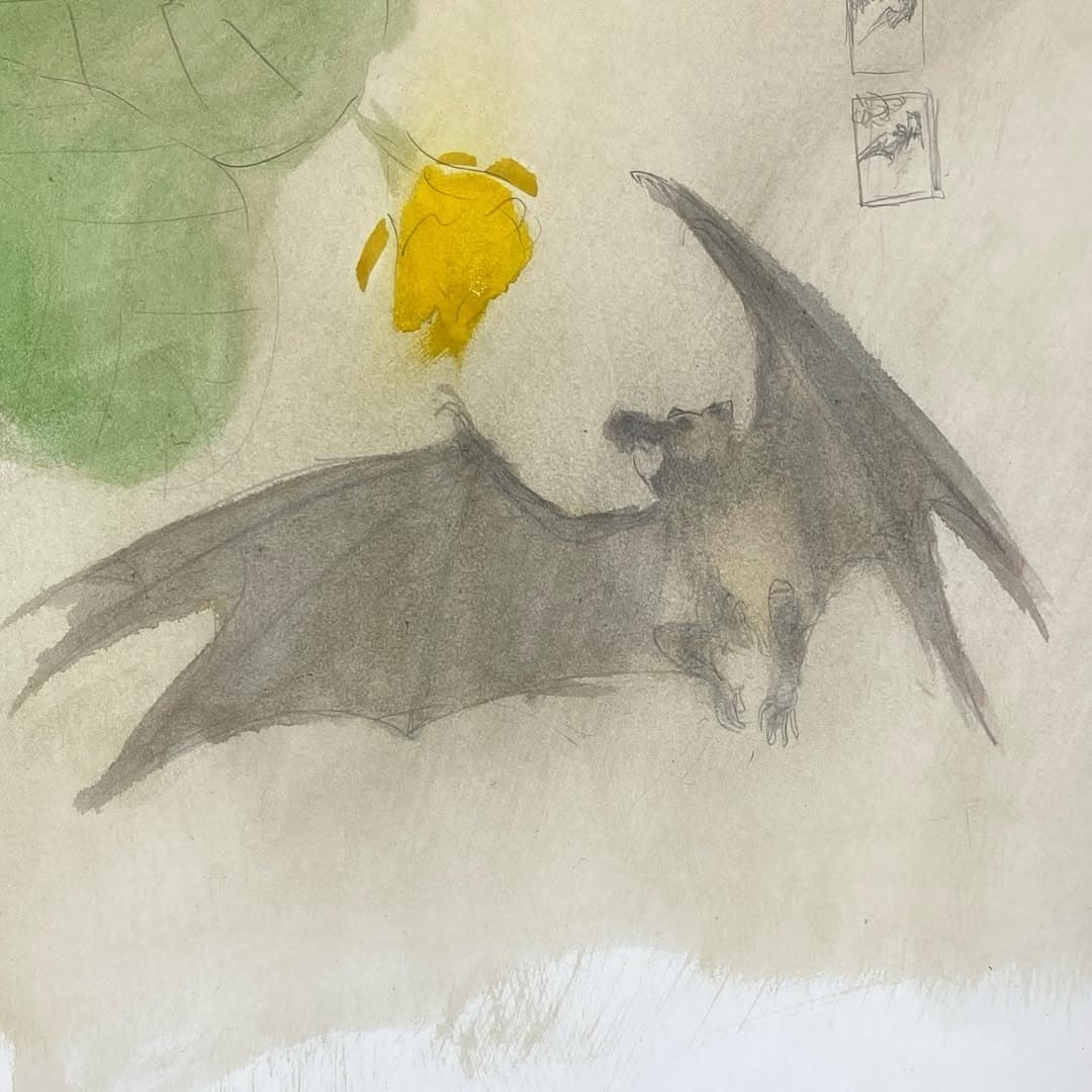 Study of a bat. Quick sketch. Flying fox. — image 1