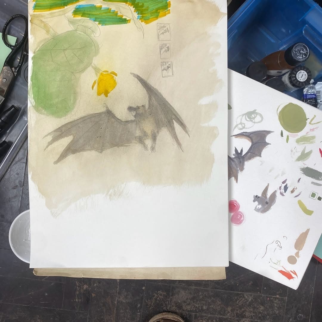 Study of a bat. Quick sketch. Flying fox. — image 2