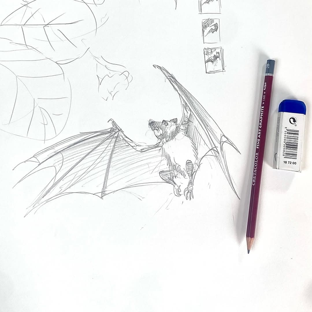 Study of a bat. Quick sketch. Flying fox. — image 3