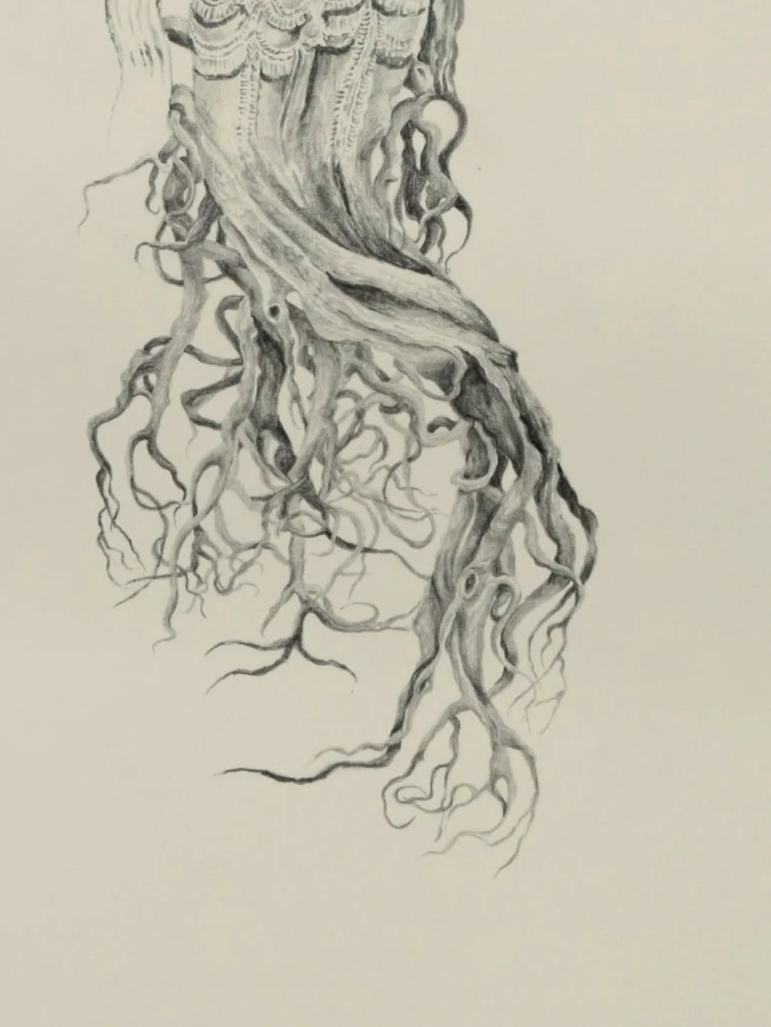 The Land sings Back, curated by Natasha Ginwala opens on 25th September '25 and continues till 14th December '25 at @drawingroomlondon — image 2