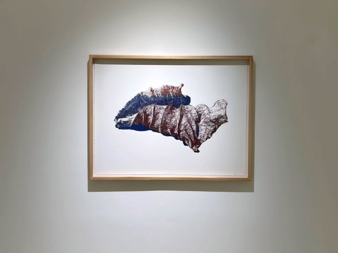 “Witness” showcasing the exceptional works of artist Saad Ahmad at White Wall Gallery.