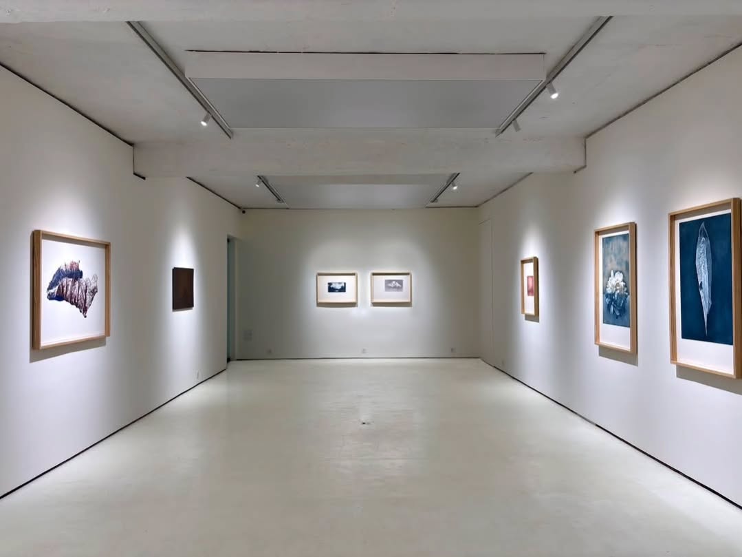 “Witness” showcasing the exceptional works of artist Saad Ahmad at White Wall Gallery. — image 4