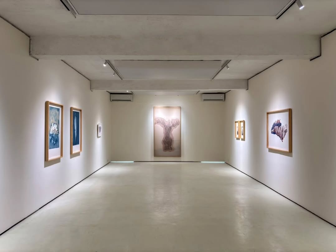 “Witness” showcasing the exceptional works of artist Saad Ahmad at White Wall Gallery. — image 6