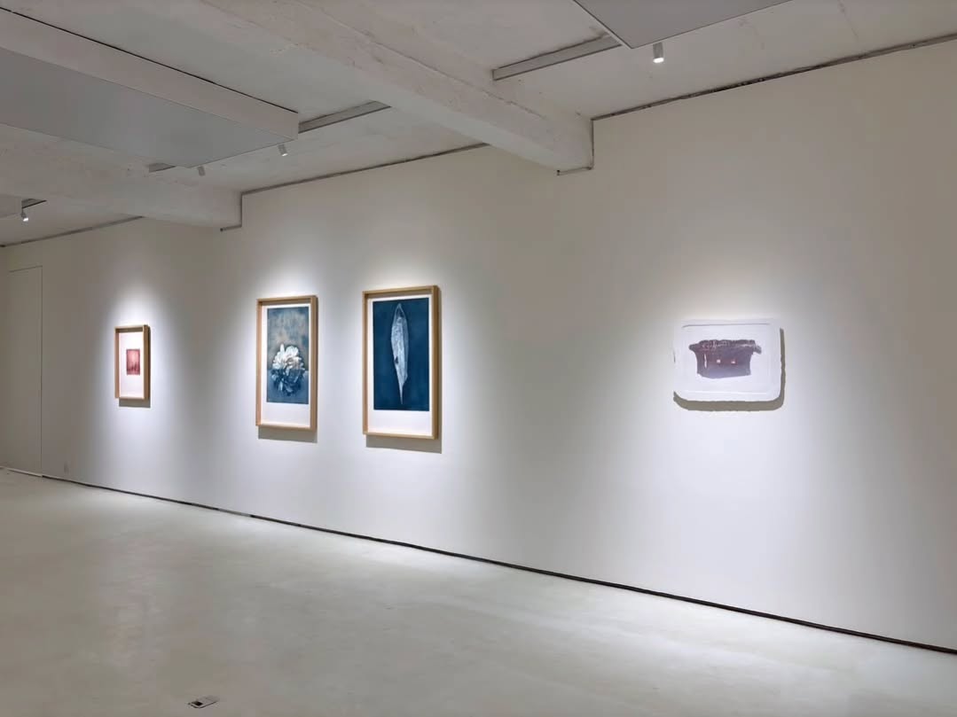 “Witness” showcasing the exceptional works of artist Saad Ahmad at White Wall Gallery. — image 8