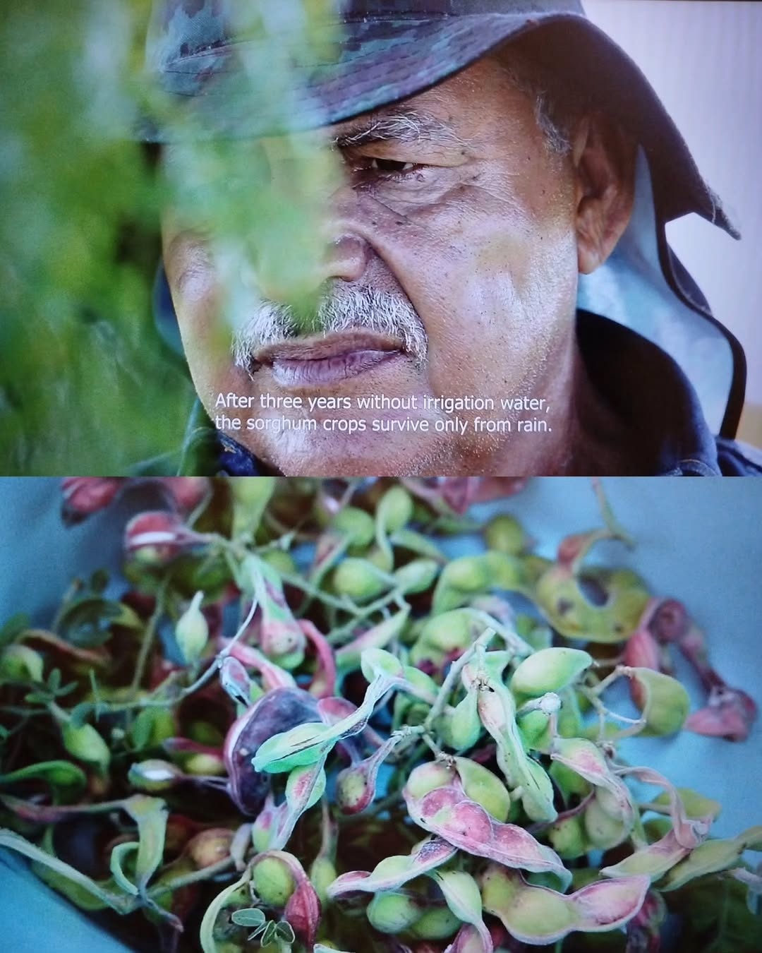 20.11.25 | Projections & discussion | Waheeda Baloch | Résidence curatoriale — image 6. Images