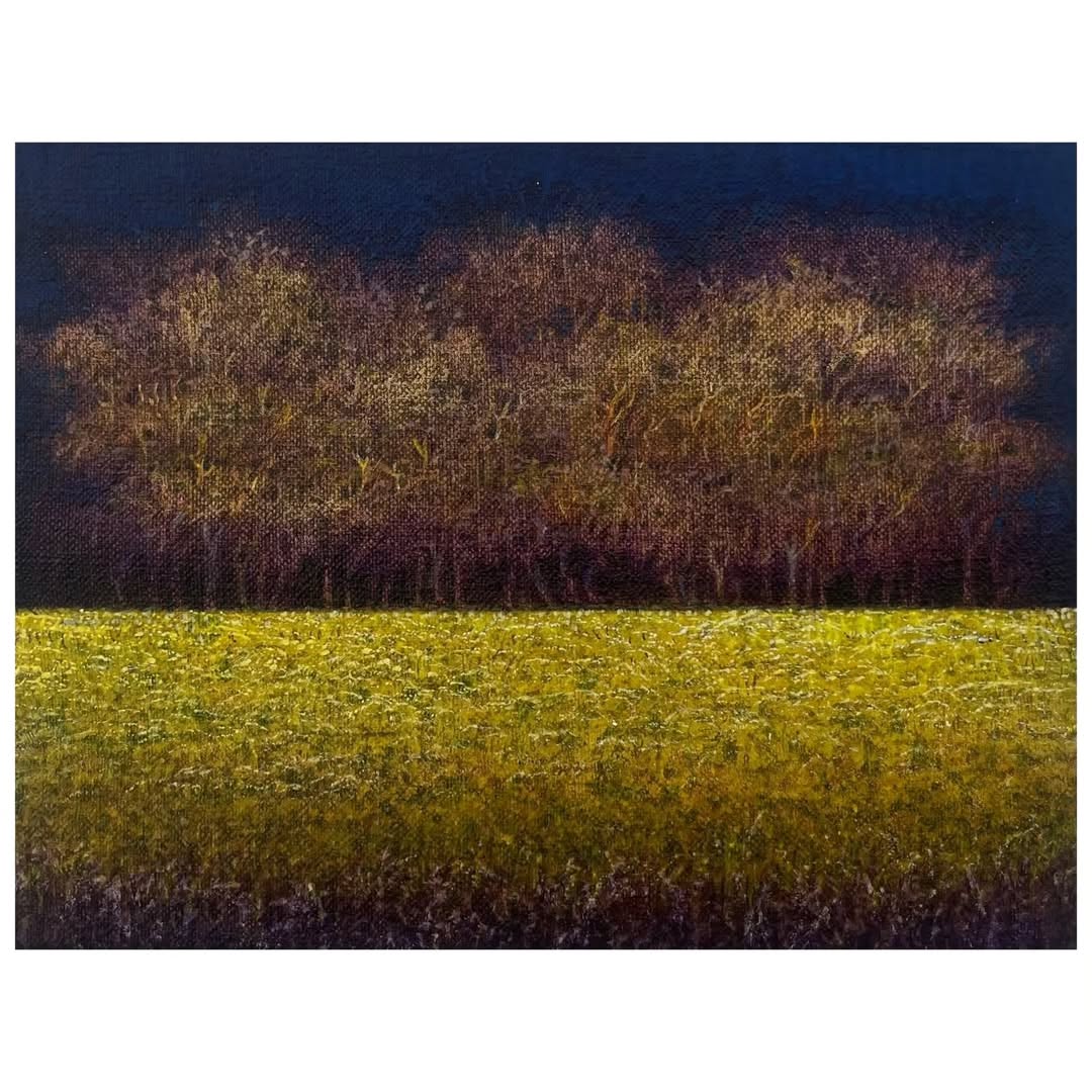 Across the mustard fields.