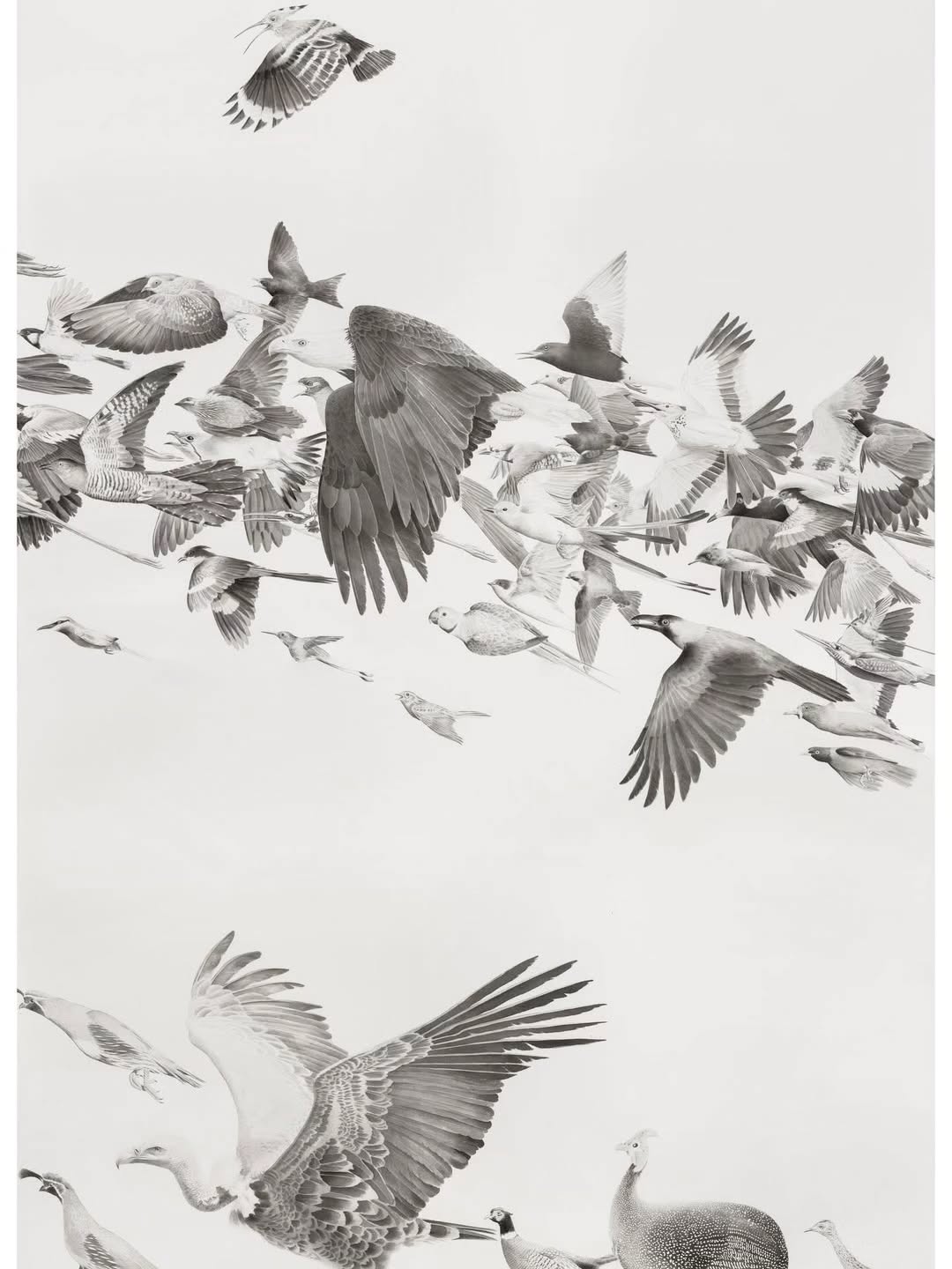 SAVE THE DATE — image 1. Image: Ali Kazim, ‘Hudhud (Conference of the Birds)’ (2022). Image courtesy of the artist and Jhaveri Contemporary. Photography by Andrew Judd | Zarina, Detail from ‘Ten woodcuts by Zarina: based on Urdu proverbs’. Image courtesy of the RIT Cary Graphic Arts Collection