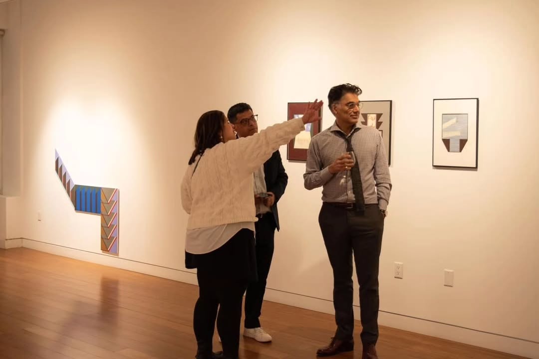 Some photos from opening night of Seher Naveed’s solo show “Built to Fail.” Thanks to everyone who came out last night! — image 3