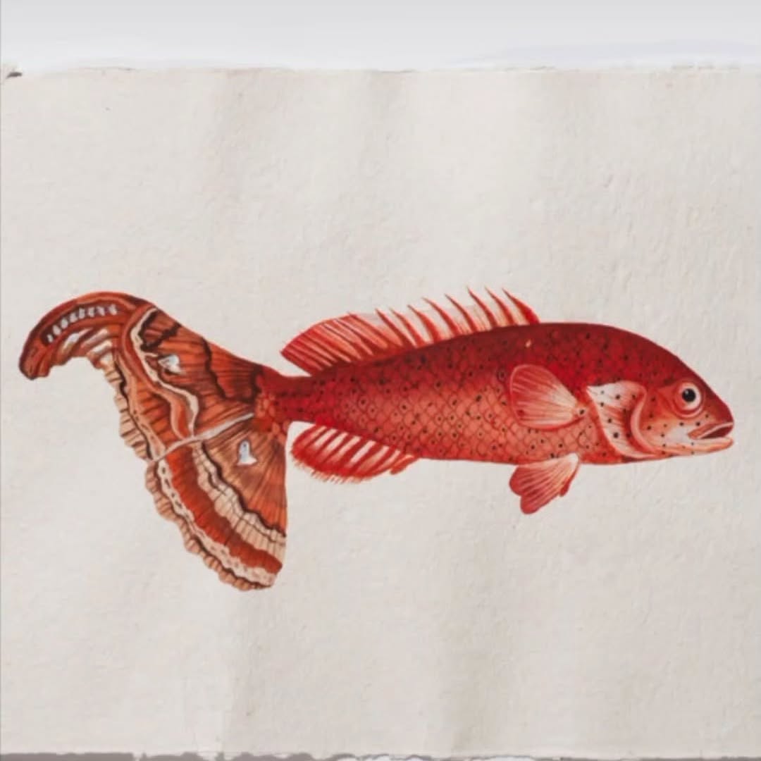 We are delighted to have artist Anushka Rustomji with us at Darham / Marham this weekend! — image 2. Image credits: Anushka Rustomji