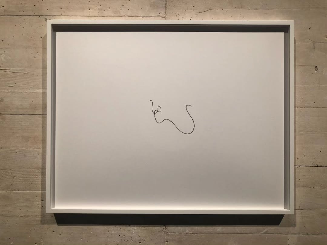 Originally displayed at MUSAC León(Museo de Arte Contemporáneo) — image 1. Courtesy of Sabrina Amrani Gallery and the artist