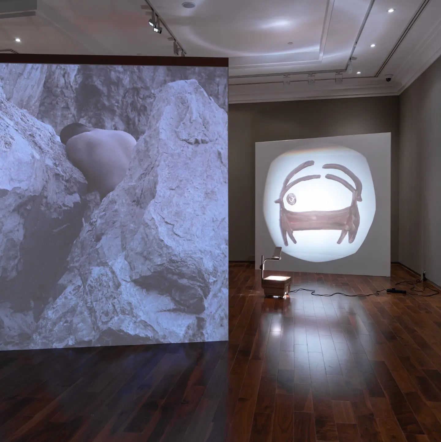 How to Become a Rock, by Fazal Rizvi with Paulina Ruiz Carballido, Faheem Abbas and Mujeeb Ruzik, is presented at The... — image 13. Images courtesy of the Artist, Grey Noise, Dubai and VCU Qatar Gallery.