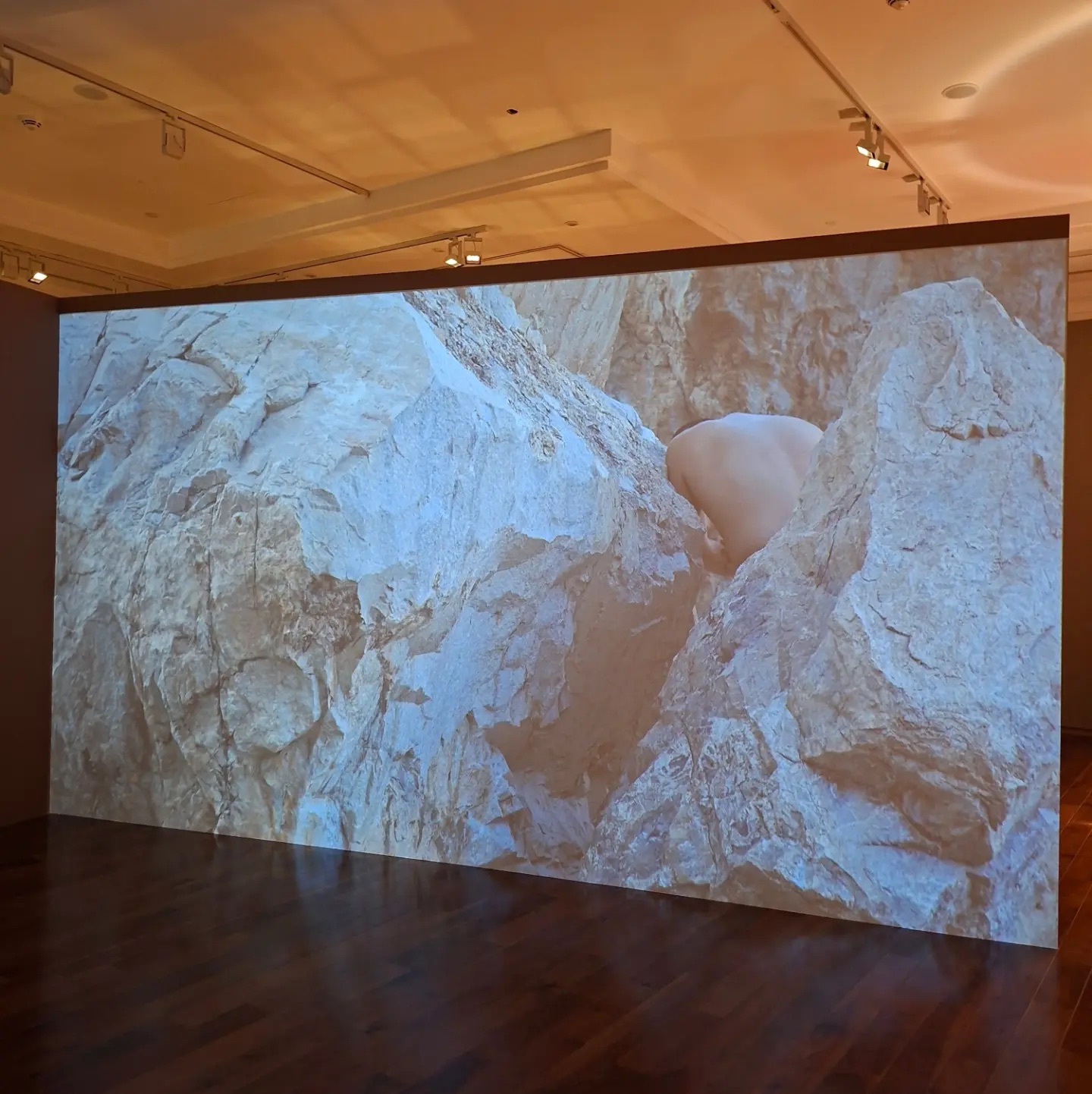 How to Become a Rock, by Fazal Rizvi with Paulina Ruiz Carballido, Faheem Abbas and Mujeeb Ruzik, is presented at The... — image 14. Images courtesy of the Artist, Grey Noise, Dubai and VCU Qatar Gallery.